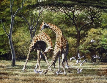 duelo entre jirafas y pájaros Pinturas al óleo